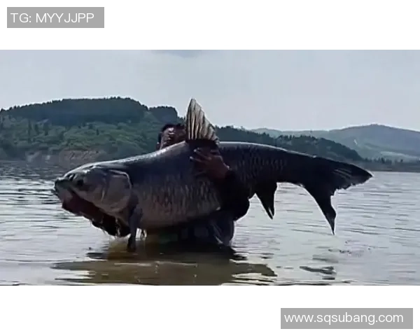 幸而没卖掉它！湖北男人钓上60斤大青鱼，有人出价1000被当场回绝